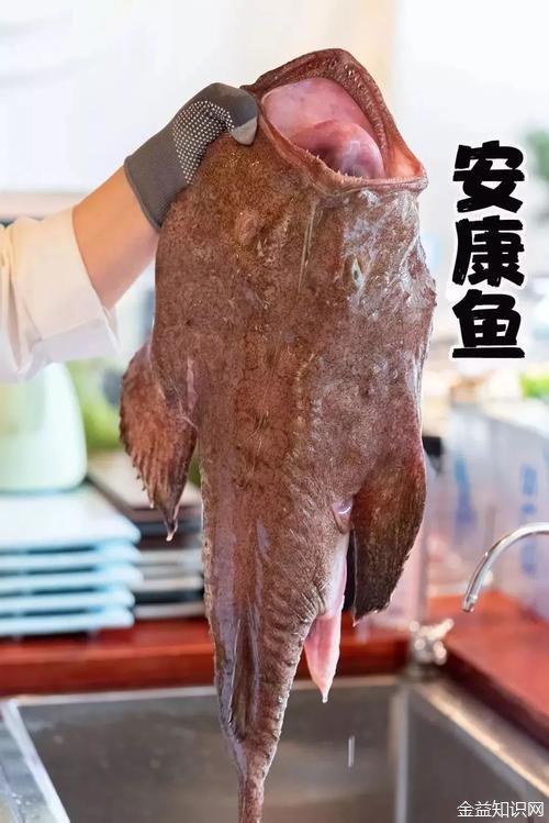 国内第三代助孕宝宝吃什么鱼比较好